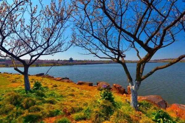 Recommended Cycling Routes in Fengxian, Shanghai, for the Best Autumn Experience