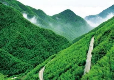 China Anji Bamboo Sea Travel Guide: Where is the Anji Bamboo Sea? 