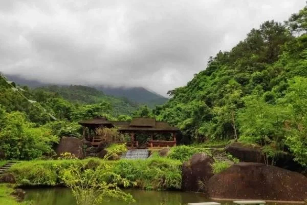 How to get to Dongxing Pingfeng Rainforest Park and its specific location