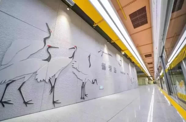 Must-Visit Subway Stations in Shanghai: The Perfect Backdrop for Your Photos 