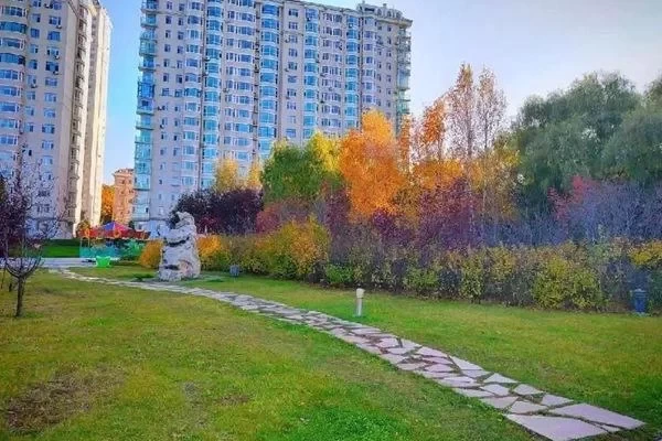 Recommended Citywalk Routes in Qitaihe during Autumn 