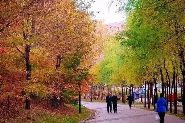 Recommended Citywalk Routes in Qitaihe during Autumn 