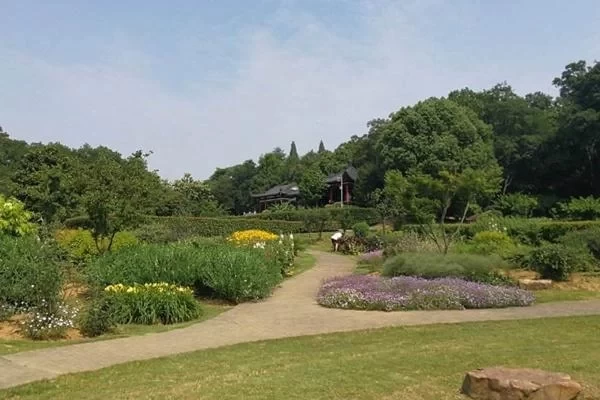 Which is more fun, the South Garden or the North Garden of the Nanjing Botanical Garden?