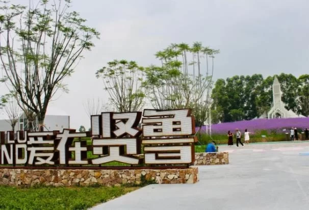 Recommended Free Camping Spots in Foshan 