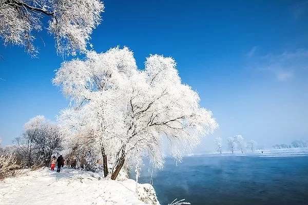 When is the best time to see frost flowers on Foguang Island? Remember this month, or you'll have to wait another year. 