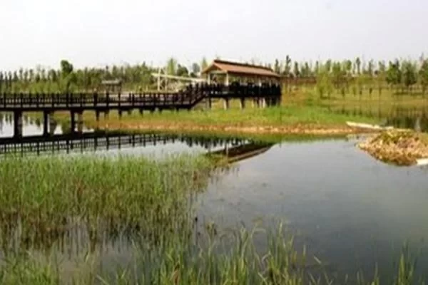 How Many Kilometers Around Songya Lake in Changsha? Is Songya Lake Wetland Park Fun? 