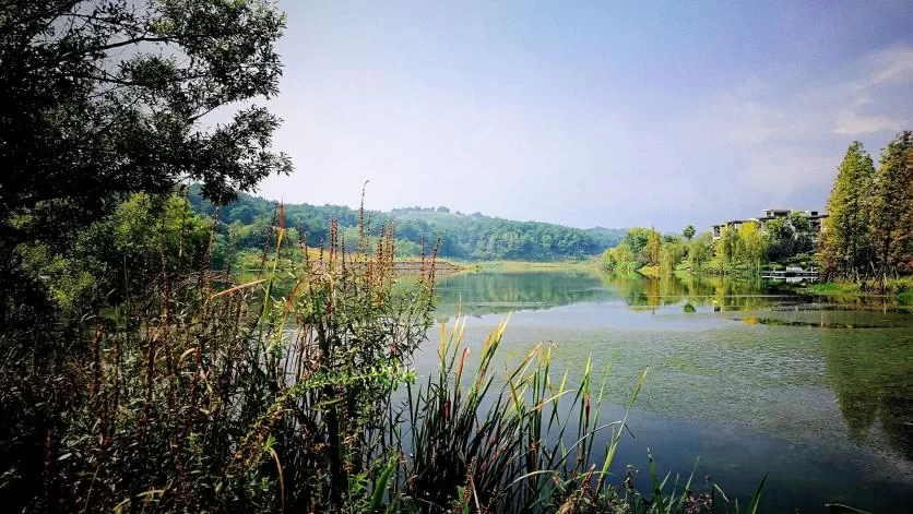 A Journey to Yuanshan Lake: A Day Trip to Yuanshan Lake 