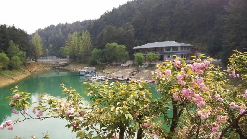 Is Longshun Baiyun Mountain Rhododendron Lake fun? 