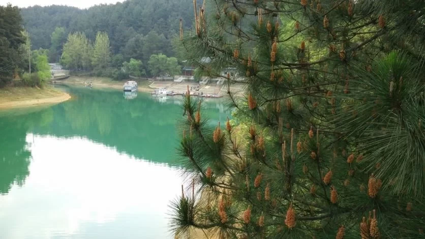 Is Longshun Baiyun Mountain Rhododendron Lake fun? 