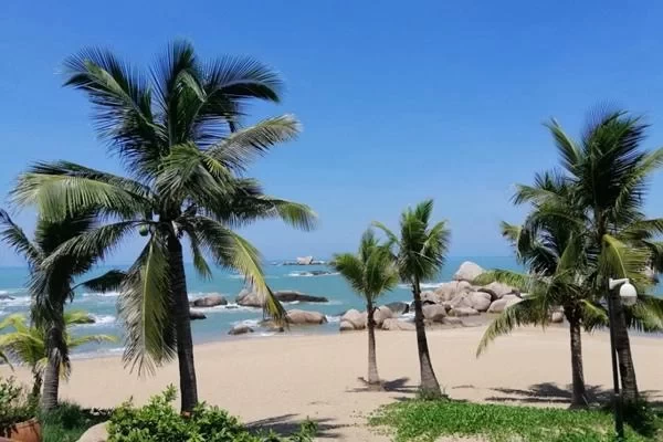 Camping Precautions for a Self-Driving Trip to Hainan Island 