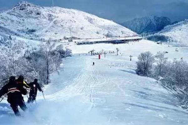 Where is Longjiangping International Ski Resort? Specific Address 