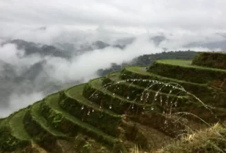 Longji Rice Terraces Travel Guide: Is Longji Rice Terraces Worth Visiting? 