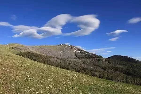 Best Route, Season and Tips for a Self-Driving Tour in Yellowstone National Park 