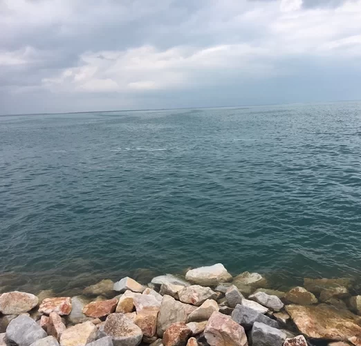 What scenic spots are there in Qinghai Lake? Travel guide to Qinghai Lake 