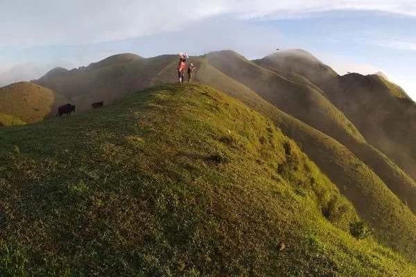 Camping Spots in Yangjiang 