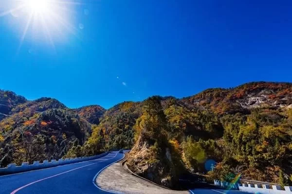 The End and Beginning of Martin Road: A Self-Driving Tour Guide 