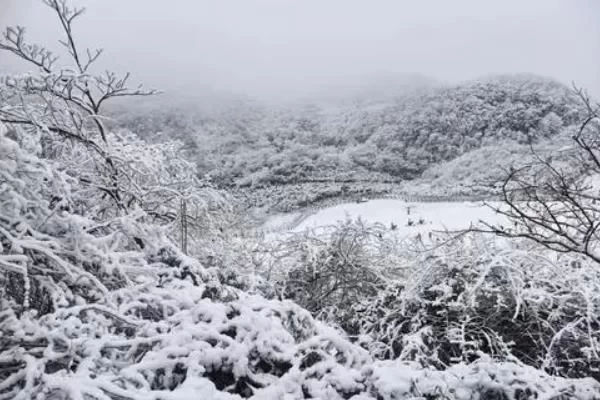 Best Places to See Snow in Chongqing