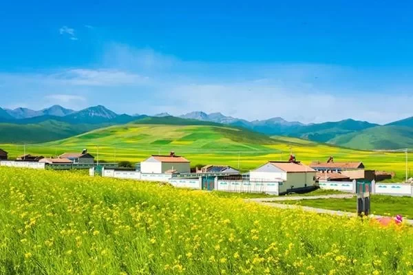 The Most Beautiful Self-Driving Route in Qinghai Loop 