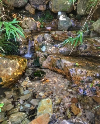 Which Section of Hong Kong's Phoenix Path is the Most Beautiful? Best Hiking Route Map for Hong Kong's Phoenix Path 