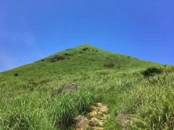 Which Section of Hong Kong's Phoenix Path is the Most Beautiful? Best Hiking Route Map for Hong Kong's Phoenix Path 