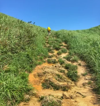 Which Section of Hong Kong's Phoenix Path is the Most Beautiful? Best Hiking Route Map for Hong Kong's Phoenix Path 