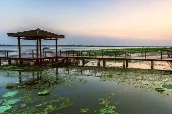 One-Day Tour Guide to Lotus Island, Yangcheng Lake