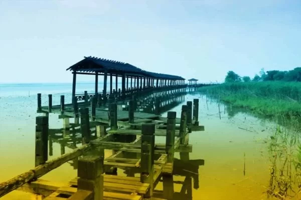 One-Day Tour Guide to Lotus Island, Yangcheng Lake 