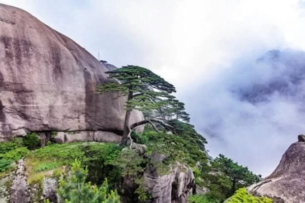 Huangshan Travel Guide: 3-Day Independent Travel Itinerary