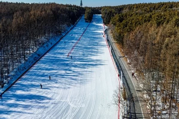 Where to Go Skiing in Changchun