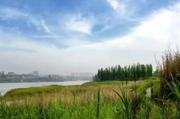 Camping Spots in Yuelu District, Changsha 