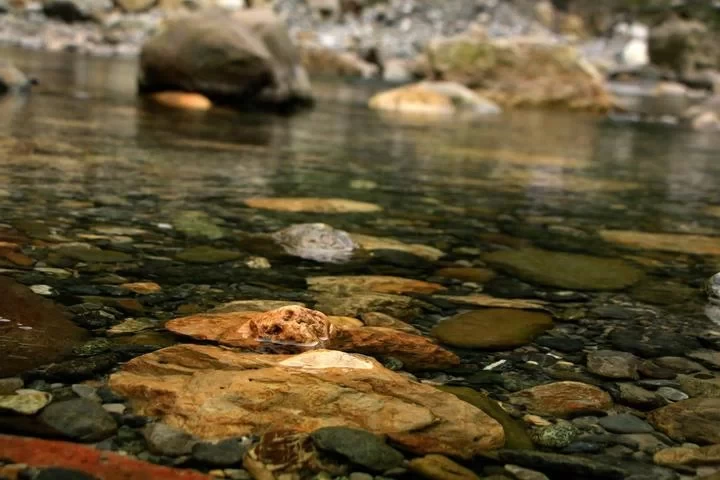 Anzi River Nature Reserve, Chongzhou Anzi River 