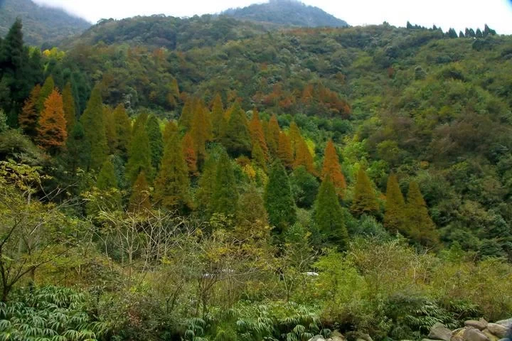 Anzi River Nature Reserve, Chongzhou Anzi River 