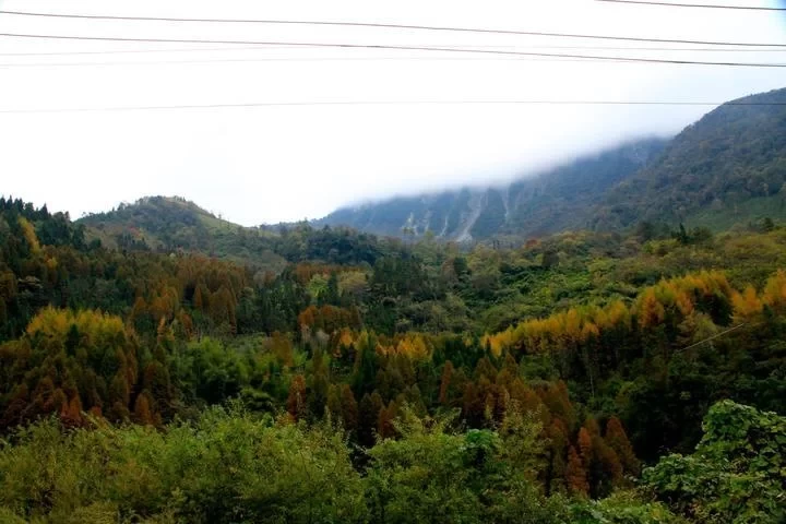 Anzi River Nature Reserve, Chongzhou Anzi River 