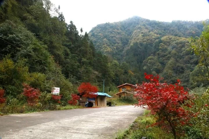 Anzi River Nature Reserve, Chongzhou Anzi River 