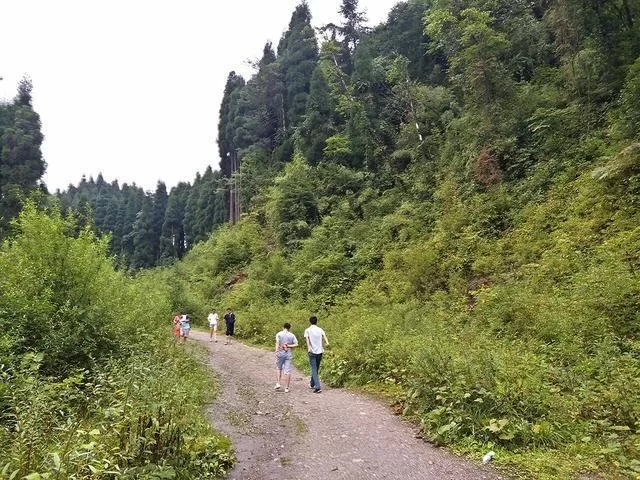 Anzi River Nature Reserve, Chongzhou Anzi River 