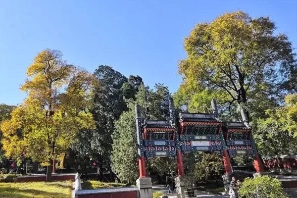 Best Routes to Visit Fragrant Hills Park 