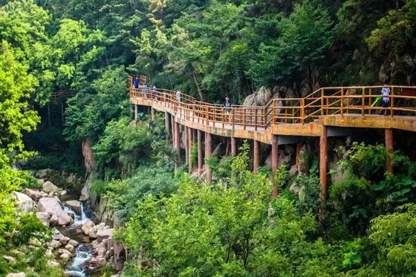 Qingdao Laoshan Travel Guide: One-Day Best Itinerary 