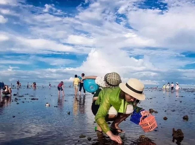 Where are the best places to go clam digging in Qingdao for free? Where are the good places for tourists to go clam digging in Qingdao? 