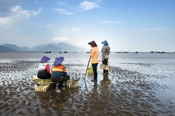 Where are the best places to go clam digging in Qingdao for free? Where are the good places for tourists to go clam digging in Qingdao? 