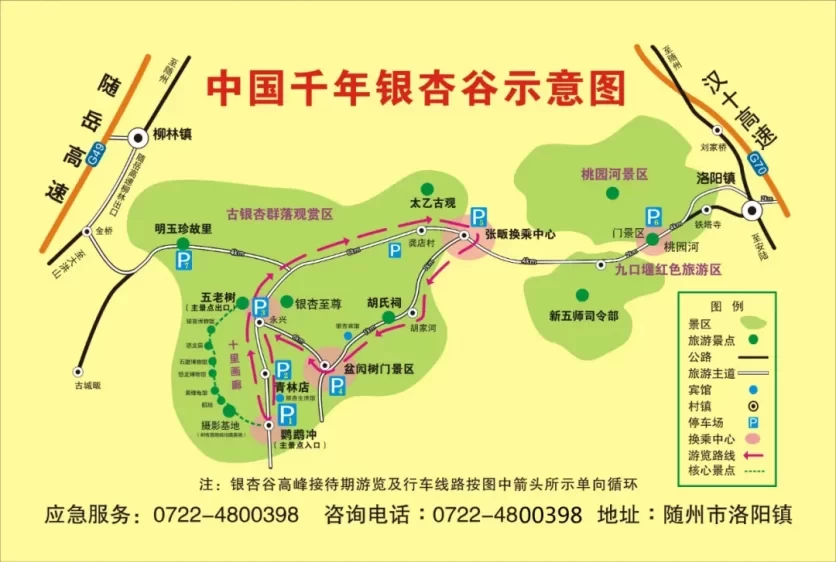 Suizhou Millennium Ginkgo Valley Travel Guide 