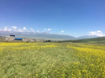 Best Time to Travel in Qinghai