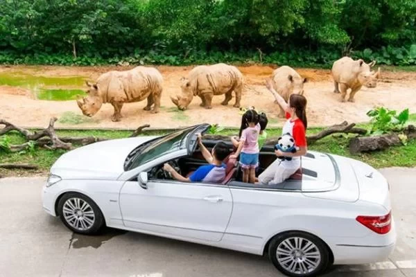 How to buy a self-driving car ticket for Chimelong Safari Park 