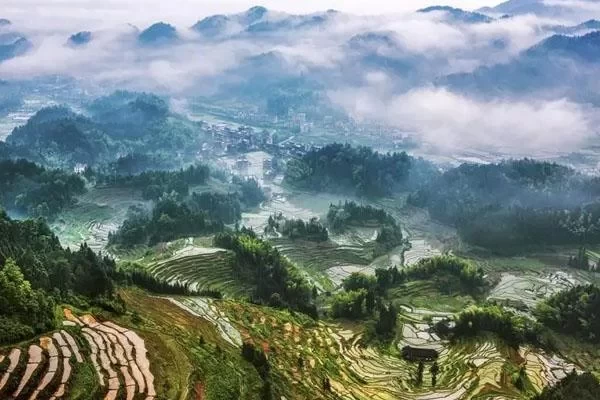 Ziqujie Terraced Fields Scenic Area Travel Guide with Ticket Price and Best Viewing Time 