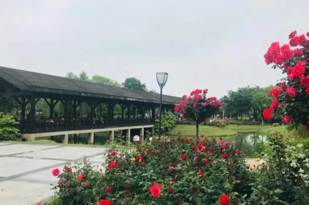 Where to Camp and Barbecue in Suzhou 