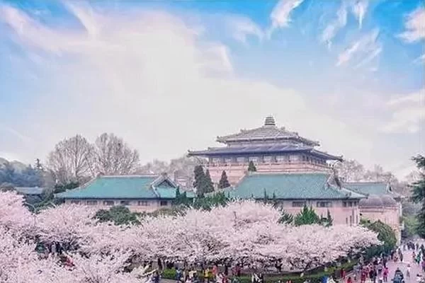 The Best Time to See Cherry Blossoms at Wuhan University is in March 