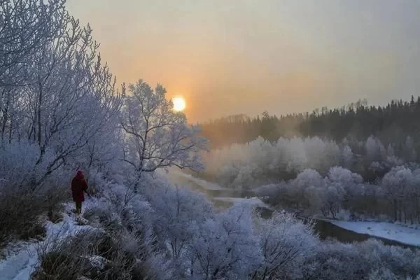 Sunke Platform Frost Flower Viewing Guide 