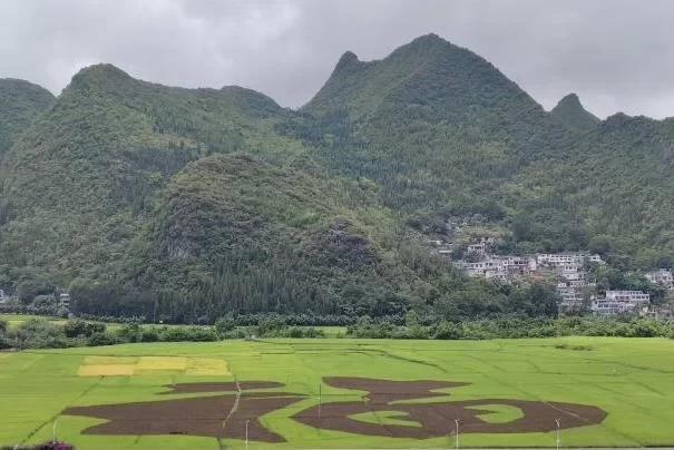 Recommended Self-Driving Tour Routes in Guizhou During Winter 