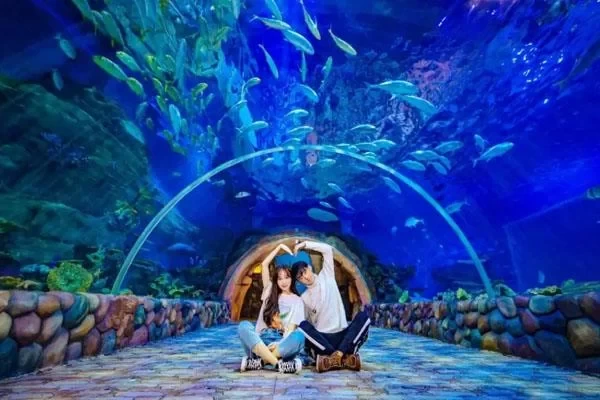 Xi’an Huaxia Wenlv Ocean Park Ticket Prices and Latest Discounts