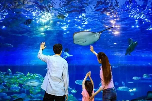 Xi'an Huaxia Wenlv Ocean Park Ticket Prices and Latest Discounts 