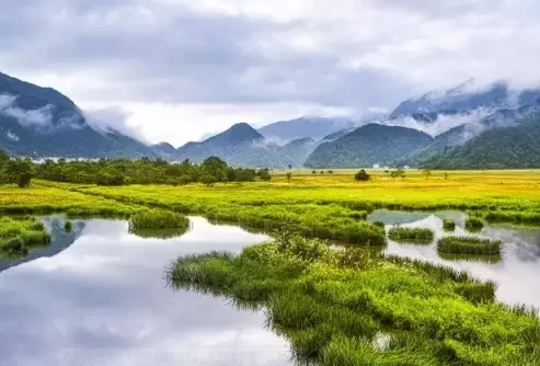 Where is Shennongjia? What is the average temperature in Shennongjia in summer? 